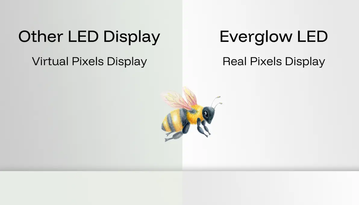 Everglow LED Technology – High-Resolution Displays for Retail, Corporate, and OOH Applications